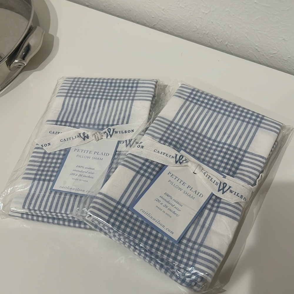 NWT, Caitlin Wilson Blue & White Pillow Shams (2)